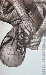 Variant Cover for Amazing Spider-Man #1