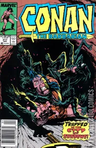 Conan the Barbarian #217
