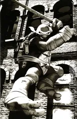 Variant Cover for Teenage Mutant Ninja Turtles #4