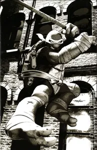 Teenage Mutant Ninja Turtles #4
