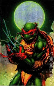 Teenage Mutant Ninja Turtles #1