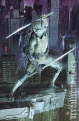Variant Cover for Teenage Mutant Ninja Turtles: The Last Ronin II - ReEvolution #4
