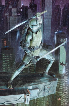 Variant Cover for Teenage Mutant Ninja Turtles: The Last Ronin II - ReEvolution #4