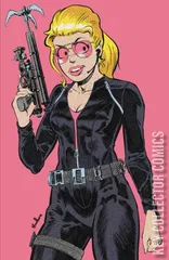 Variant Cover for Betty & Veronica: Friends Forever - Spy Girls #1