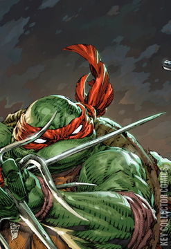 Variant Cover for Teenage Mutant Ninja Turtles #9