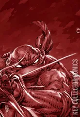 Variant Cover for Teenage Mutant Ninja Turtles #9
