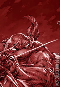 Teenage Mutant Ninja Turtles #9