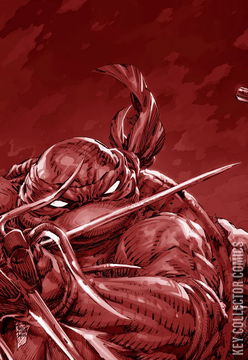 Variant Cover for Teenage Mutant Ninja Turtles #9