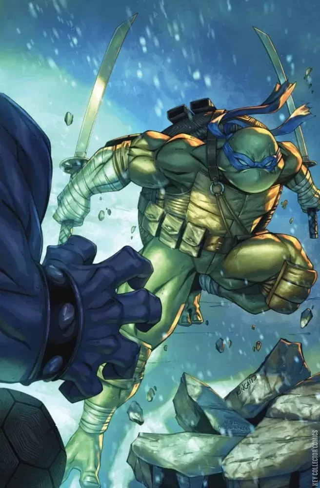 Cover art for Teenage Mutant Ninja Turtles #3 Foil