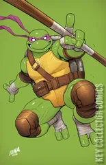 Variant Cover for Teenage Mutant Ninja Turtles #4