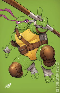 Variant Cover for Teenage Mutant Ninja Turtles #4