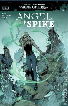 Variant Cover for Angel and Spike #12
