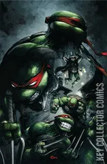 Variant Cover for Teenage Mutant Ninja Turtles #9