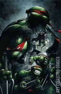 Teenage Mutant Ninja Turtles #9