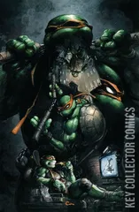 Variant Cover for Teenage Mutant Ninja Turtles #9