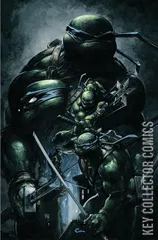 Variant Cover for Teenage Mutant Ninja Turtles #9