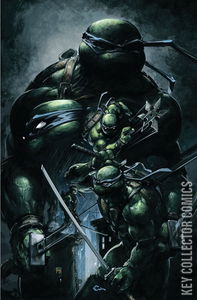 Teenage Mutant Ninja Turtles #9