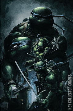 Variant Cover for Teenage Mutant Ninja Turtles #9
