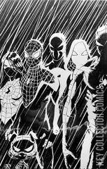 Variant Cover for Marvel Voices: Spider-Verse #1