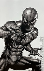 Variant Cover for Ultimate Spider-Man #17