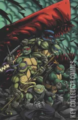 Variant Cover for Teenage Mutant Ninja Turtles #148