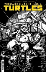 Variant Cover for Teenage Mutant Ninja Turtles #9