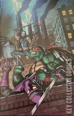 Cover for Raphael: Teenage Mutant Ninja Turtles #1