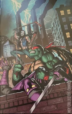Raphael: Teenage Mutant Ninja Turtles