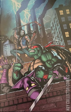 Variant Cover for Raphael: Teenage Mutant Ninja Turtles #1