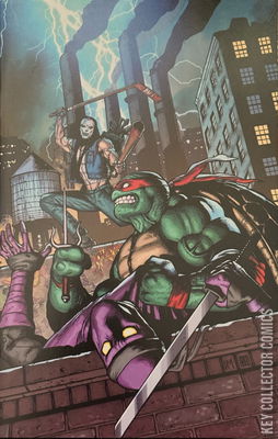 Raphael: Teenage Mutant Ninja Turtles