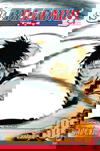 Bleach #38