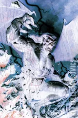 Variant Cover for Gargoyles: Quest #4