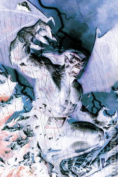 Variant Cover for Gargoyles: Quest #4