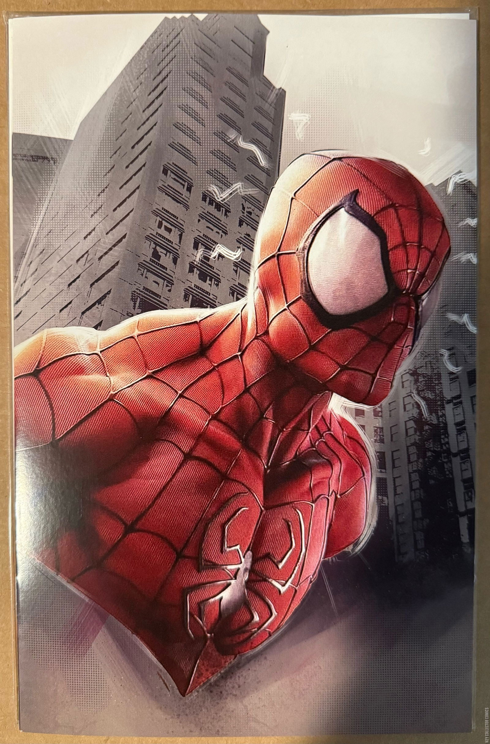 Variant Cover for Spider-Man Unlimited #1