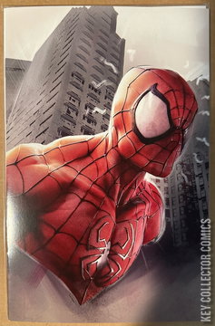 Variant Cover for Spider-Man Unlimited #1