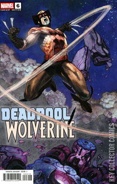 Variant Cover for Deadpool / Wolverine #6