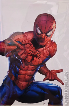 Variant Cover for Ultimate Spider-Man #17