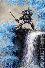 Variant Cover for Teenage Mutant Ninja Turtles #9