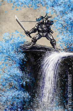 Variant Cover for Teenage Mutant Ninja Turtles #9