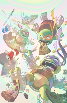 Variant Cover for Teenage Mutant Ninja Turtles #9