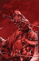 Variant Cover for Teenage Mutant Ninja Turtles #10