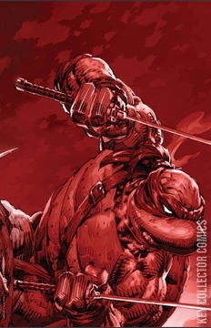 Variant Cover for Teenage Mutant Ninja Turtles #10