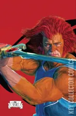 Cover for Thundercats #13