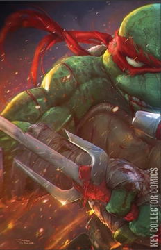 Variant Cover for Teenage Mutant Ninja Turtles #10
