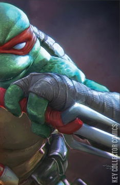 Variant Cover for Teenage Mutant Ninja Turtles #10