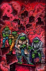 Cover for Teenage Mutant Ninja Turtles #10