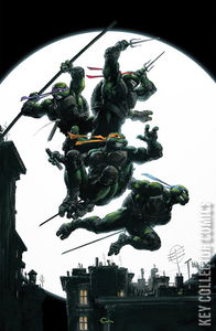 Teenage Mutant Ninja Turtles #3
