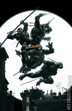 Variant Cover for Teenage Mutant Ninja Turtles #3