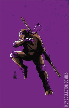 Variant Cover for Teenage Mutant Ninja Turtles #4