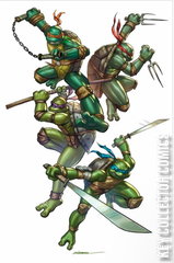 Variant Cover for Teenage Mutant Ninja Turtles #5